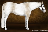Horse Color:White Spotted Silver Smoky Blue Roan Splash
