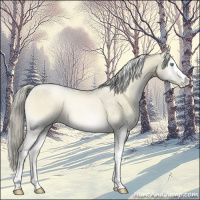 Horse Color:White Spotted Chocolate Palomino Pearl Onyx Mushroom Tobiano 