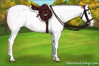 Horse Color:Red Dun Sabino Splash Tobiano