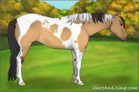 Horse Color:Brown Dun Tobiano 