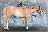 Horse Color:Watercolor Chocolate Palomino Pearl Dun Sabino Rabicano