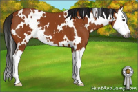 Horse Color:Gray White Spotted Buckskin Splash 