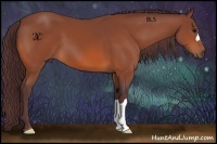 Horse Color:Chocolate Brown 