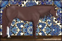 Horse Color:Chocolate Black 
