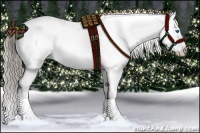 Horse Color:Chocolate Palomino Sabino Splash Near Fewspot 