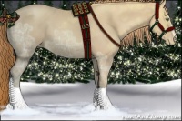 Horse Color:Gold Champagne Ice Sabino Varnish