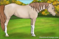 Horse Color:Smoky Black Pearl 