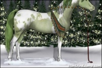 Horse Color:Watercolor Classic Cream Champagne Tobiano Blanket Rabicano 