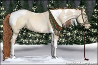 Horse Color:White Spotted Smoky Grullo Pearl Tobiano 
