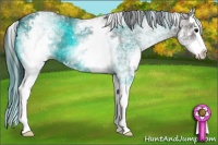 Horse Color:White Spotted Grullo Splash