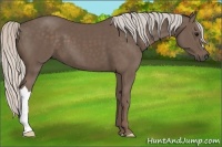 Horse Color:Silver Black 
