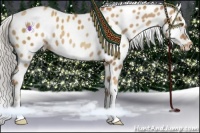Horse Color:Silver Classic Champagne Appaloosa 
