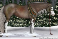 Horse Color:Silver Brown Sabino 