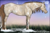 Horse Color:White Spotted Liver Red Dun Ice Pearl Brindle