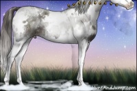 Horse Color:White Spotted Liver Chestnut Ice Splash