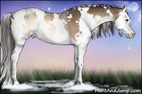 Horse Color:White Spotted Liver Red Onyx Ice Splash Rabicano 