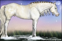 Horse Color:White Spotted Liver Red Dun Ice Pearl Sabino Splash Rabicano