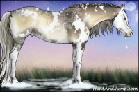 Horse Color:White Spotted Liver Red Onyx Ice Sabino Splash 