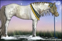 Horse Color:Liver Chestnut Ice Tobiano Rabicano 