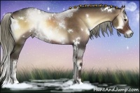 Horse Color:White Spotted Liver Red Onyx Sabino Rabicano