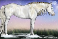 Horse Color:White Spotted Liver Red Onyx Ice Pearl Sabino Splash Rabicano