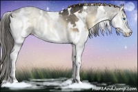 Horse Color:White Spotted Liver Red Onyx Splash Rabicano 