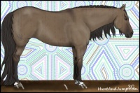 Horse Color:Liver Red Dun Brindle 