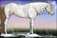 Horse Color:White Spotted Liver Chestnut Pearl Tobiano Rabicano