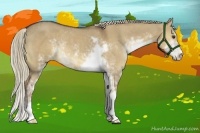Horse Color:Liver Red Dun Sabino Rabicano