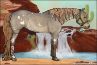 Horse Color:White Spotted Liver Red Dun Roan Rabicano