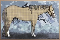 Horse Color:Plaid  Liver Red Dun Sabino 