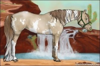 Horse Color:White Spotted Liver Red Dun Pearl 