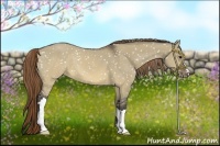 Horse Color:Buckskin Dun Snowflake Varnish 