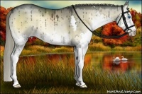 Horse Color:Liver Red Dun Onyx Sabino Splash