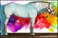 Horse Color:Painted White Spotted Chocolate Palomino Roan Dun Rabicano