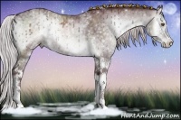 Horse Color:White Spotted Chocolate Silver Blue Onyx Chinchilla Sabino