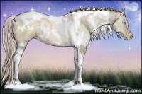 Horse Color:White Spotted Chocolate Palomino Pearl Dun Tobiano