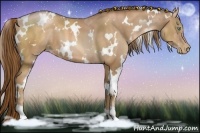Horse Color:White Spotted Liver Chestnut Pearl 