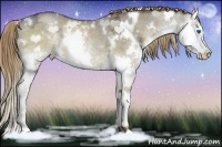 Horse Color:White Spotted Liver Red Dun Ice Splash Rabicano