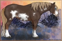 Horse Color:Liver Chestnut Sabino Splash Frame Rabicano 