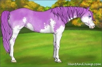 Horse Color:Watercolor Liver Chestnut Splash