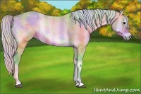 Horse Color:Nacre Watercolor Silver Brown Onyx 