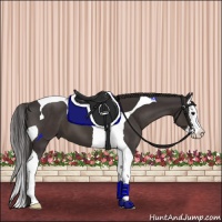 Horse Color:Smoky Black Splash Tobiano