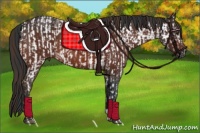 Horse Color:Liver Chestnut Appaloosa  and Bay Rabicano 