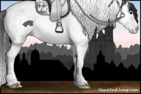 Horse Color:Grullo Splash Tobiano 