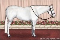 Horse Color:White Spotted Silver Amber Cream Champagne Pearl Appaloosa