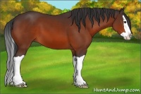 Horse Color:Brown Splash 