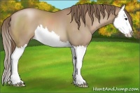 Horse Color:Black Pearl Splash 