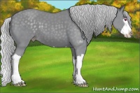 Horse Color:Silver Classic Champagne Chinchilla Splash