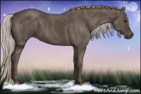 Horse Color:Silver Black 